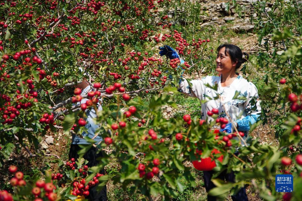 银河在线游戏大全